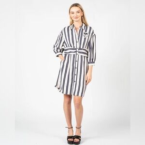 Pinko Chivasso Shirt Dress